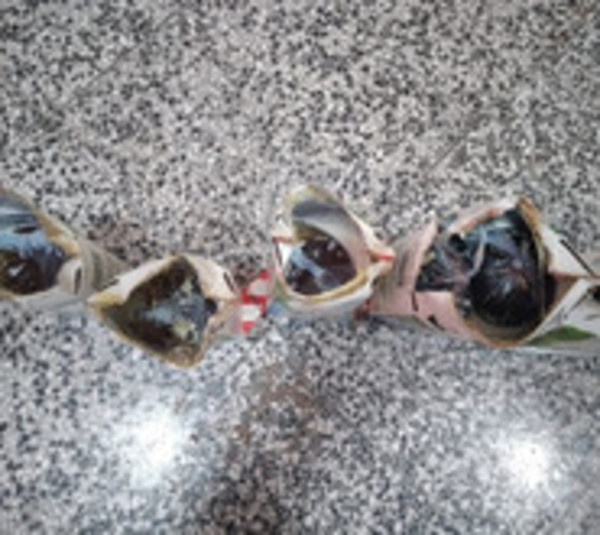 En cárcel de Concepción intentan meter vinos en envases de leche - Paraguay.com
