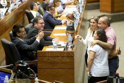 Diputados sancionó proyecto de Financiamiento versión Senado