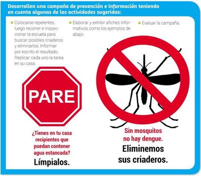 ¡A prevenir el dengue! - Escolar - ABC Color