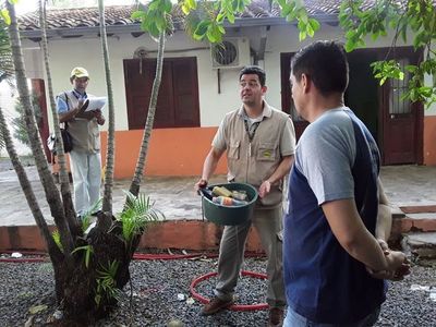 Realizarán mingas toda la semana
