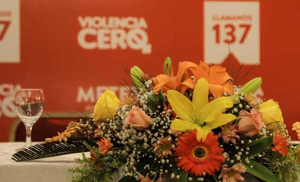 Paraguay registró 22 casos menos de feminicidio en el 2019 | .::Agencia IP::.