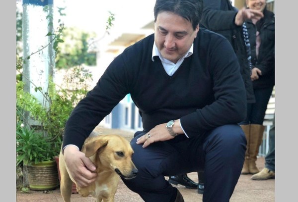 Más de 4 mil millones para la Dirección de Defensa animal, pero solo para sueldos, denuncian - ADN Paraguayo