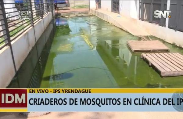IPS Yrendague: Adentro pacientes con dengue y afuera agua estancada - SNT