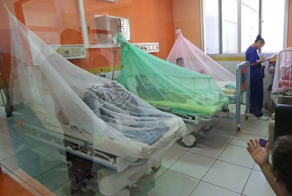 Salud admite que números sobre dengue son inexactos