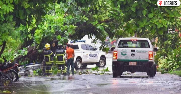 Tras temporal Bomberos cooperaron para el despeje de árboles caídos en Encarnación