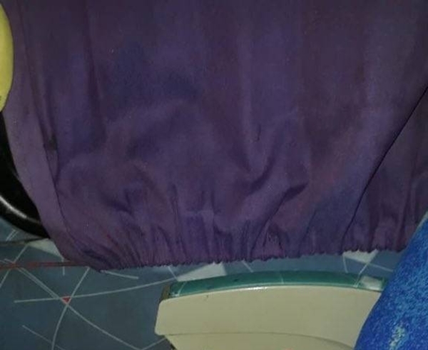 HOY / Odisea de colombiano y su gato en Paraguay: les prohiben en buses, ¿y que dice la ley?