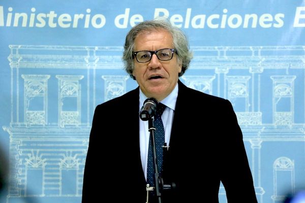 Almagro: “El problema para la democracia son los burros que gobiernan”