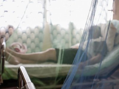 Promulgan ley de declaración de emergencia sanitaria por epidemia de dengue