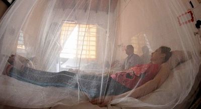 Dengue: realizan “test rápido” en la Facultad de Ciencias Químicas de la UNA - Ancho Perfil - ABC Color
