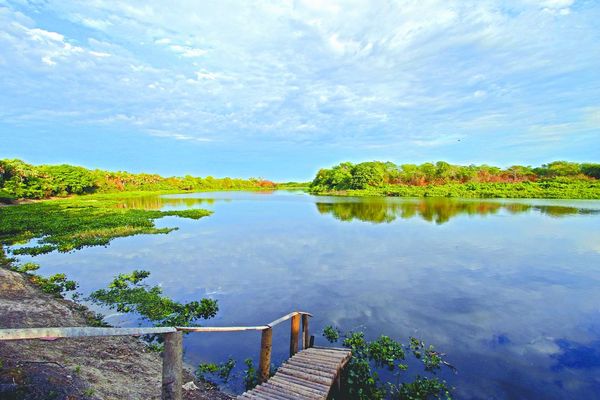 Fortalecerán la conservación y el desarrollo sostenible del Pantanal