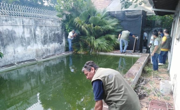HOY / Intervienen “mansión de mosquitos” frente a una guardería