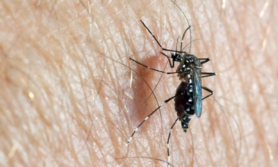 HOY / Dengue para rato: ya se reportan pacientes con segundo cuadro durante la misma epidemia