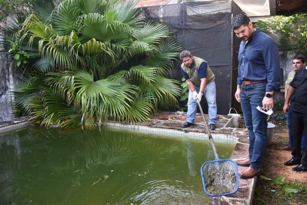 Intervienen otro "paraíso" del dengue en Asunción