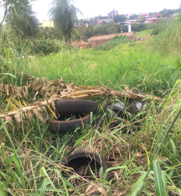 Arrojan cubiertas en desuso y vecinos temen proliferación de vectores del dengue