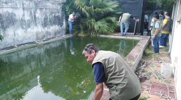 La “mansión de los mosquitos” es intervenida por la Municipalidad