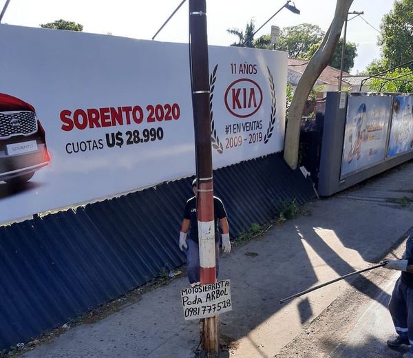Continúan trabajos de retiro de cartelería irregular en Asunción