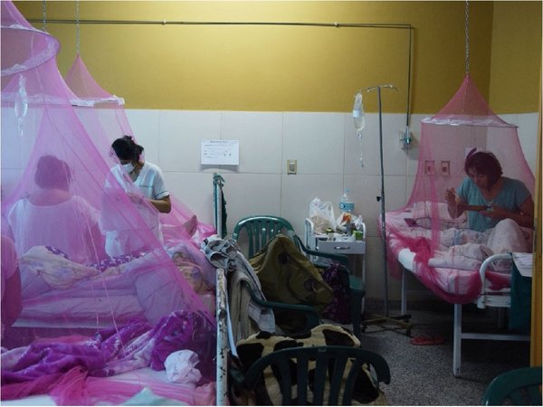 Pico de consultas por dengue: En un día IPS atendió a 5.000 pacientes