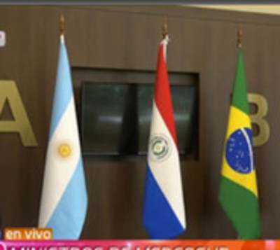 Mercosur:Ministros de Salud buscan soluciones ante epidemia del dengue - Paraguay.com