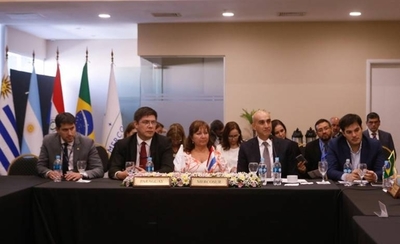 HOY / Mercosur en alerta por dengue: ministros coordinan acciones para afrontar la epidemia