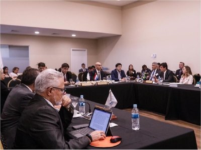 Países del Mercosur coinciden en intensificar acciones ante avance del dengue