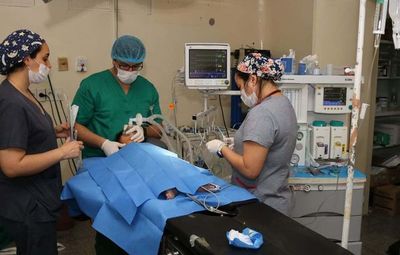 Cirugías reconstructivas en hospital encarnaceno