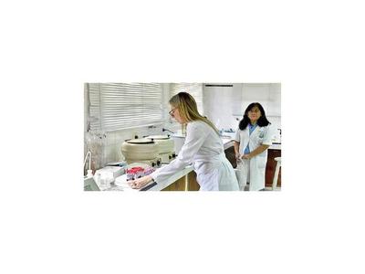 Cerca de 90 fueron a realizarse el test