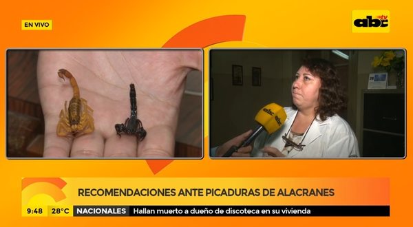 Recomendaciones ante picaduras de alacranes - ABC Noticias - ABC Color