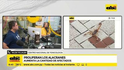 Proliferan los alacranes - ABC Noticias - ABC Color