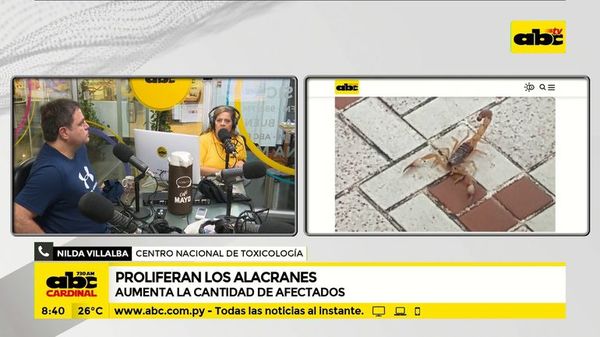 Proliferan los alacranes - ABC Noticias - ABC Color