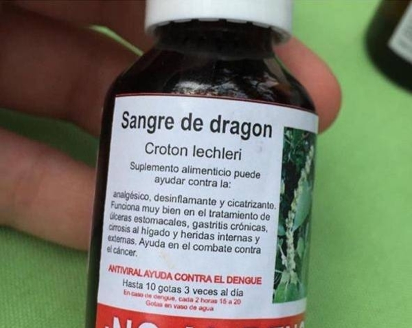 HOY / Creencia popular vs evidencia científica: Sangre de Dragón, otra alternativa contra el dengue