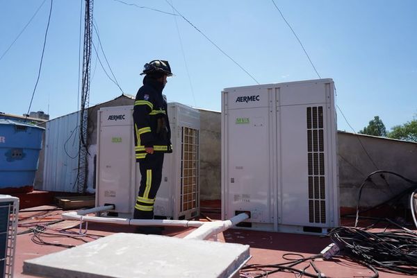 Humo causado por nido de Pitogüe generó susto en la comuna de Encarnación - Nacionales - ABC Color