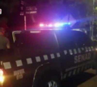 Senad en acción: Cae microtraficante de drogas en Misiones  - Paraguay.com