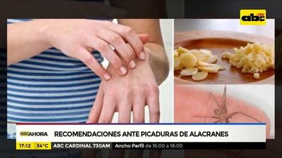 Recomendaciones para prevenir y tratar picaduras de alacranes - ABC Noticias - ABC Color
