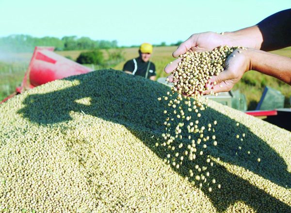 EEUU podría desplazar granos paraguayos