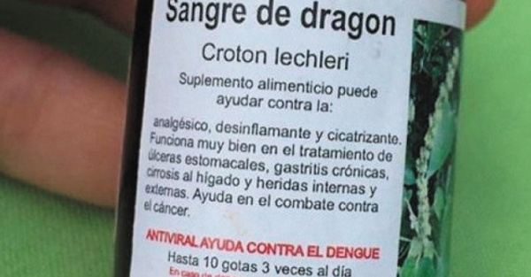 “Sangre de dragón” ¿cura dengue?
