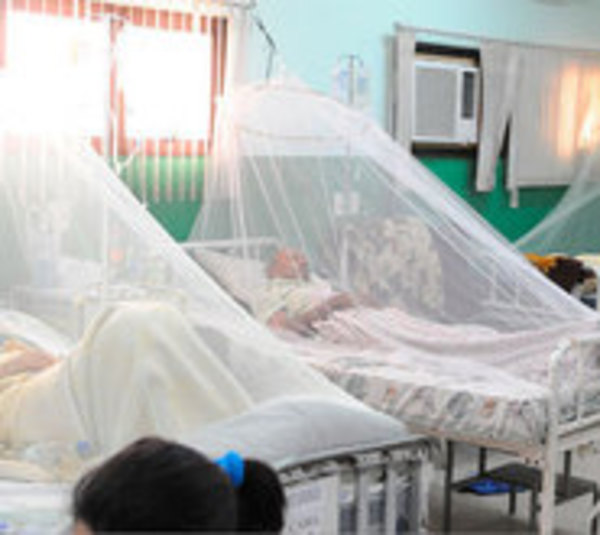 Epidemia de dengue “fue mayor a lo esperado”  - Paraguay.com