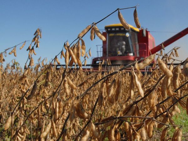 PARAGUAY REQUIERE DE INDUSTRIAS QUE AÑADAN VALOR A LA ECONOMÍA