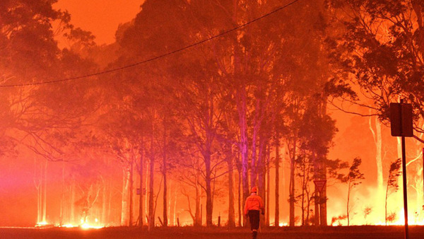 AUMENTAN A MIL MILLONES LOS ANIMALES MUERTOS EN AUSTRALIA POR INCENDIOS