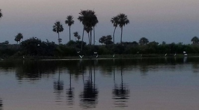 PARAGUAY IMPULSA SU PANTANAL COMO PATRIMONIO MUNDIAL