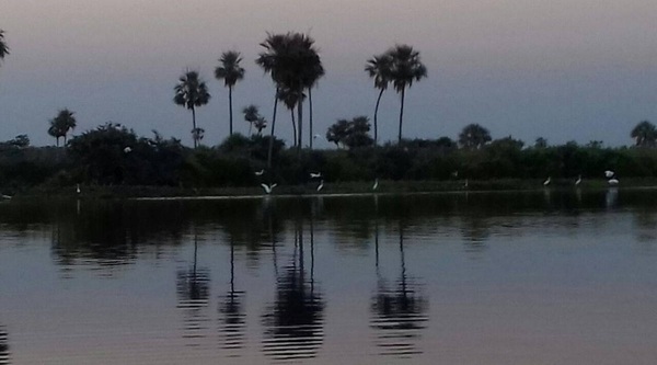 PARAGUAY IMPULSA SU PANTANAL COMO PATRIMONIO MUNDIAL