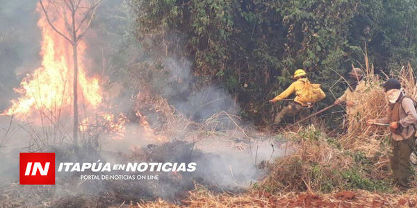 LLUVIA TRAJO IMPORTANTE ALIVIO AL SOFOCAR INCENDIOS FORESTALES