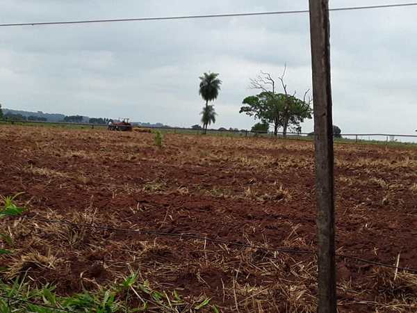Denuncian supuesto uso irregular de bienes municipales - Campo 9 Noticias