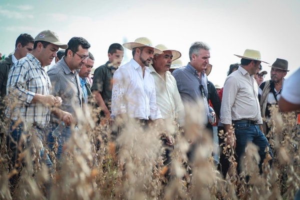 Comenzó el periodo de cosecha de soja. Hay expectativa de rentabilidad de G. 7.000.000 por hectárea - ADN Paraguayo
