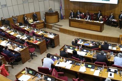 Senadores ratifican recortes al presupuesto 2020