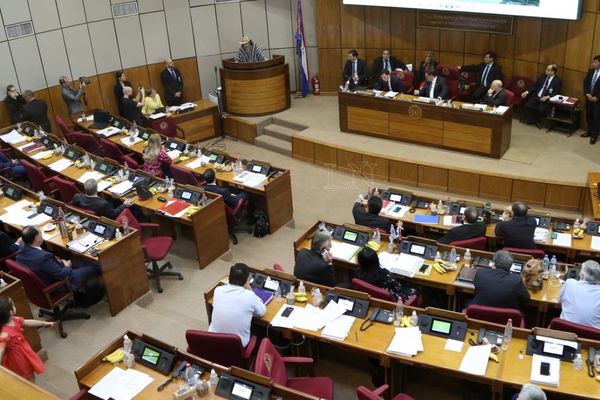 Senadores ratifican recortes al presupuesto 2020