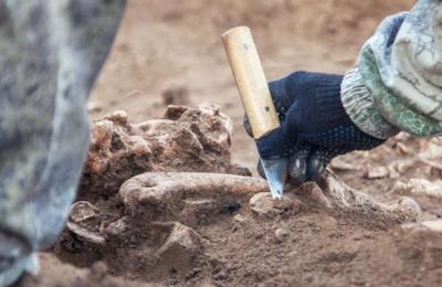 Hallazgo de esqueleto neandertal será clave para estudiar los ritos funerarios - C9N