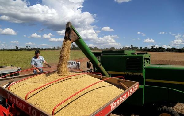 Abogado denuncia que colega brasileña creó 'esquema criminal' para apropiarse de productos agrícolas