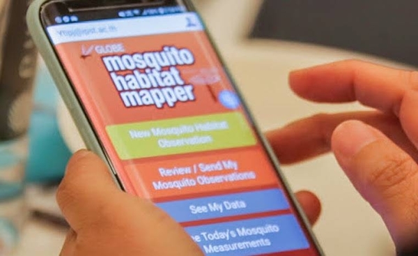 HOY / Mosquito Habitat Mapper: la app que permite identificar larvas y zonas de criaderos desde el celular