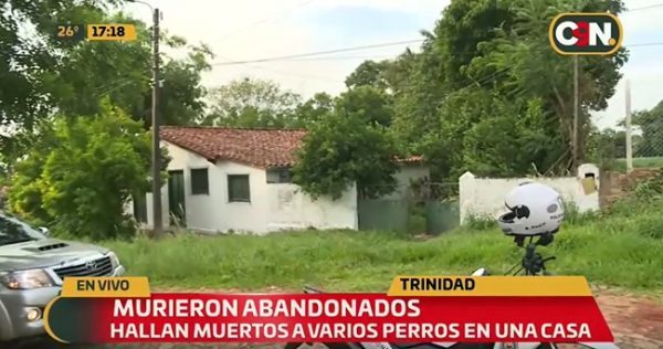 Hallan perros muertos en casa abandonada