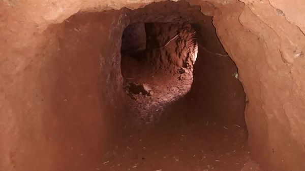 Fuga PJC: Pericias indican que los 76 reos salieron por el túnel » Ñanduti